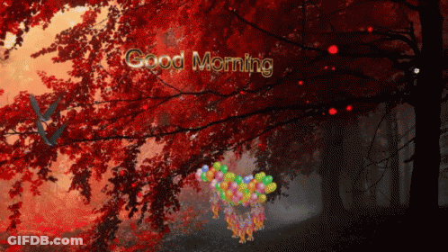 A Picture Of A Forest With A Bunch Of Balloons That Says Good Morning GIF