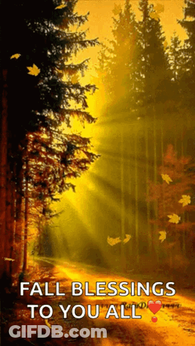 A Picture Of A Forest With The Words " Fall Blessings To You All " On It GIF