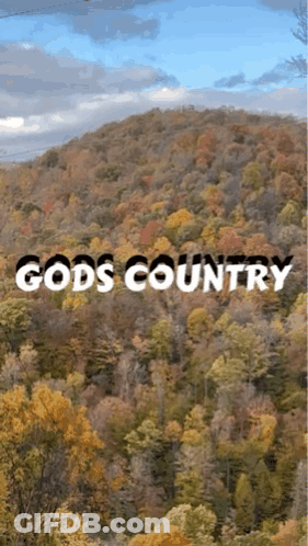 A Picture Of A Forest With The Words Gods Country GIF
