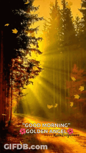 A Picture Of A Forest With The Words Good Morning Golden Angel GIF