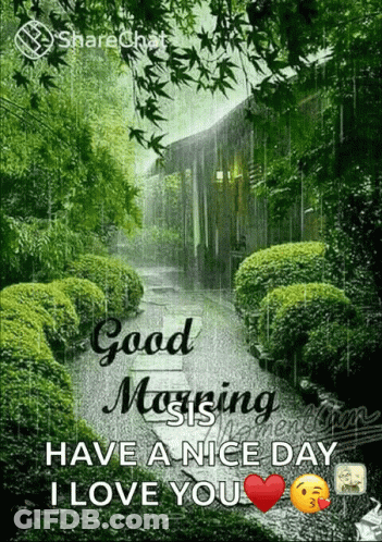 A Picture Of A Forest With The Words Good Morning Have A Nice Day I Love You . GIF
