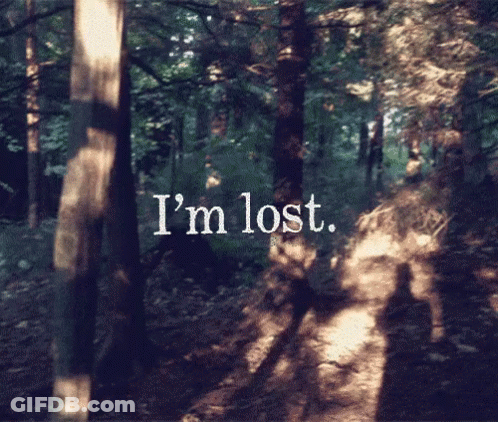 A Picture Of A Forest With The Words I 'M Lost On It GIF