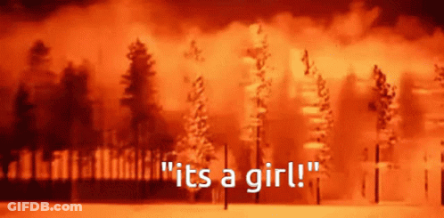 A Picture Of A Forest With The Words " It 'S A Girl " On The Bottom GIF
