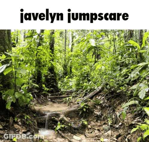 A Picture Of A Forest With The Words Javelyn Jumpscare GIF