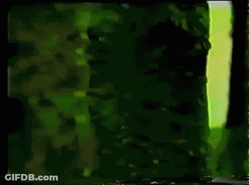 A Picture Of A Forest With Trees And Grass GIF
