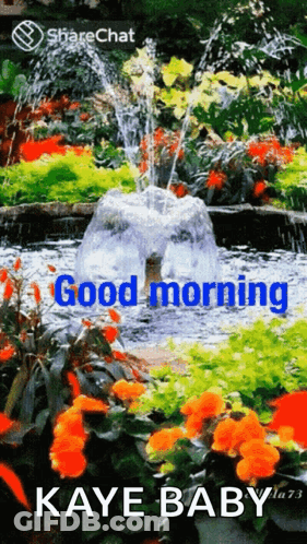 A Picture Of A Fountain And Flowers With The Words Good Morning Kaye Baby GIF