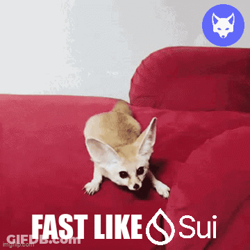 A Picture Of A Fox On A Red Couch With The Words Fast Like Sui GIF