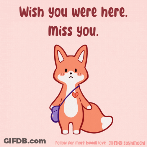 A Picture Of A Fox With The Words Wish You Were Here Miss You On The Bottom GIF