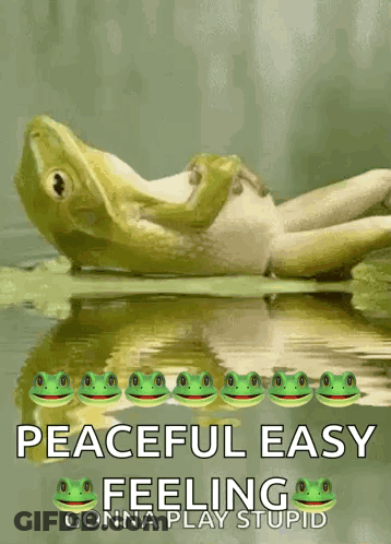 A Picture Of A Frog In A Pond With The Words Peaceful Easy Feeling Gonna Play Stupid GIF