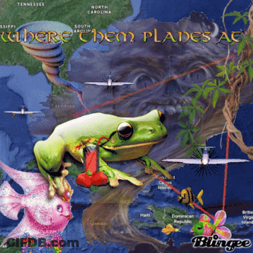 A Picture Of A Frog On A Map With The Words Where Them Planes Are GIF
