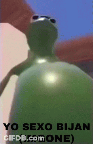 A Picture Of A Frog That Says Yo Sexo Bijan ( Imgone ) On It GIF