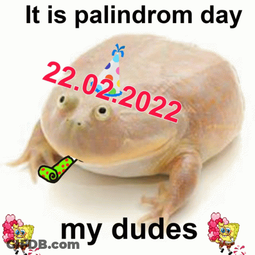 A Picture Of A Frog With A Party Hat That Says It Is Palindrome Day GIF