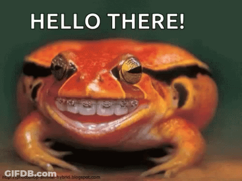 A Picture Of A Frog With Braces On Its Teeth And The Words Hello There GIF