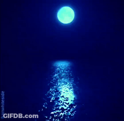 A Picture Of A Full Moon With The Words " Good Night " Below It GIF