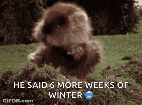 A Picture Of A Furry Animal With The Caption He Said 6 More Weeks Of Winter GIF