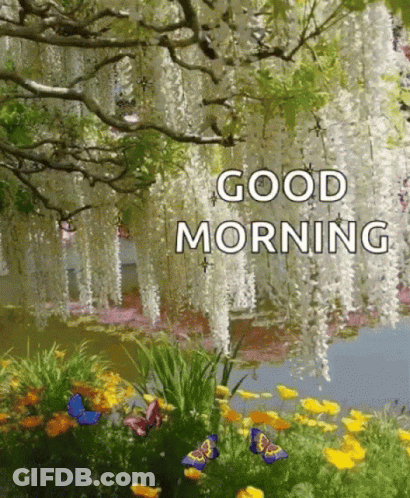A Picture Of A Garden With Butterflies And Flowers And The Words `` Good Morning '' . GIF