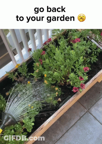A Picture Of A Garden With The Words Go Back To Your Garden On The Bottom GIF