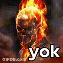 A Picture Of A Ghost Rider With Fire Coming Out Of His Head And The Words Yok On The Bottom . GIF