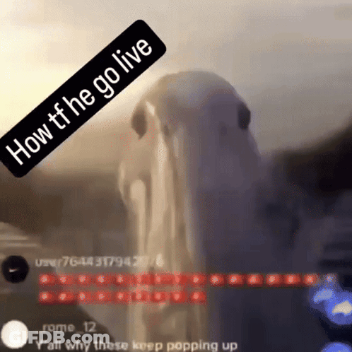A Picture Of A Ghost With The Words How The Go Live On Top GIF