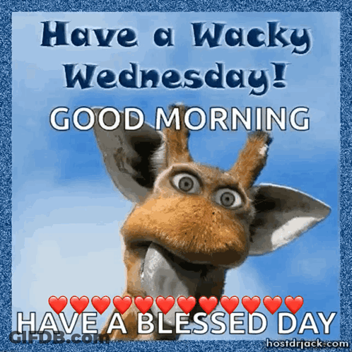 A Picture Of A Giraffe With The Words Have A Wacky Wednesday Good Morning Have A Blessed Day GIF