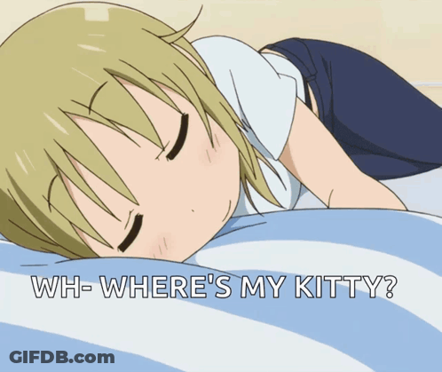 A Picture Of A Girl Laying On A Bed With The Words Wh-Where 'S My Kitty GIF