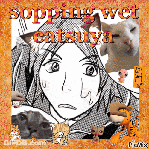 A Picture Of A Girl Surrounded By Cats With The Words Sopping Wet Catsuwa GIF