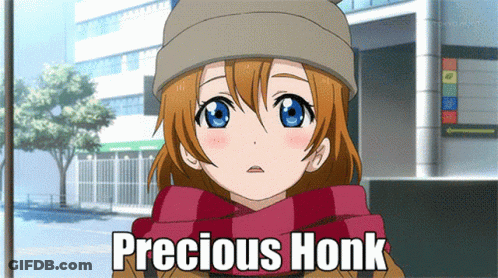 A Picture Of A Girl Wearing A Hat And Scarf With The Words Precious Honk Below Her GIF