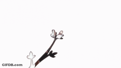 A Picture Of A Girl With A Flower In The Background And The Word You On The Bottom Right GIF