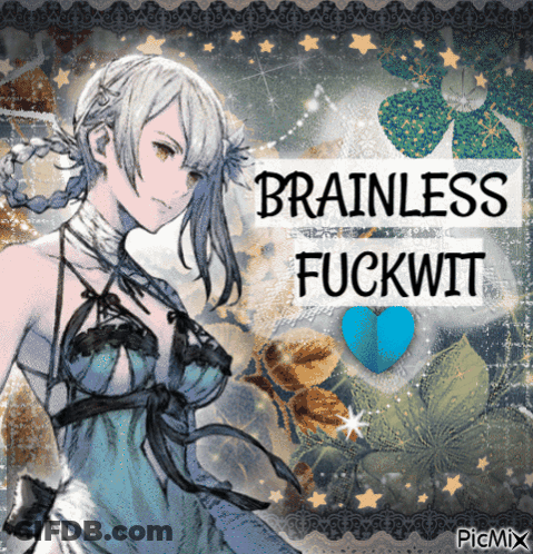 A Picture Of A Girl With Brainless Fuckwit Written On It GIF