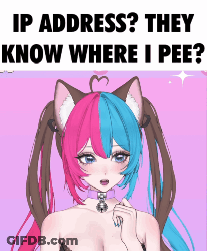 A Picture Of A Girl With Cat Ears And The Words " Ip Address They Know Where I Pee " Above Her GIF