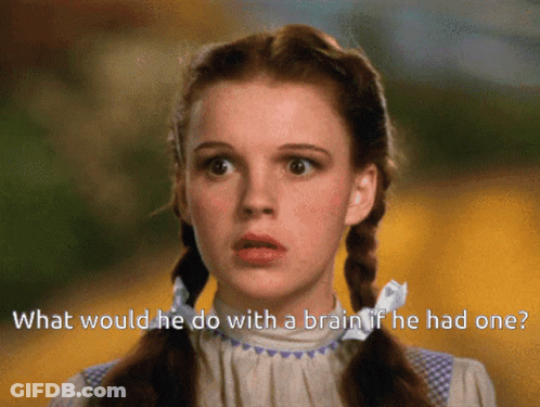 A Picture Of A Girl With Pigtails And The Words " What Would He Do With A Brain If He Had One " Below Her GIF