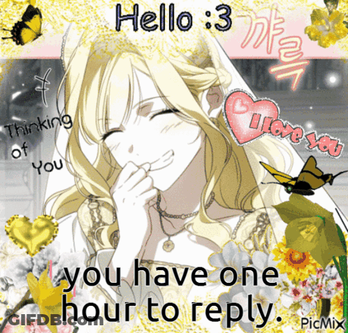 A Picture Of A Girl With The Words Hello 3 You Have One Hour To Reply On The Bottom GIF