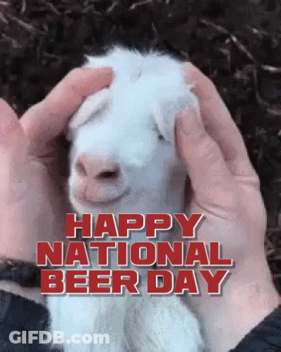 A Picture Of A Goat With The Words Happy National Beer Day Written Above It GIF