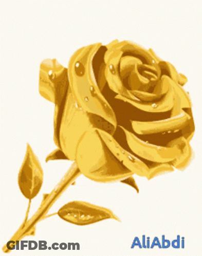A Picture Of A Gold Rose With The Name Aliabdi On The Bottom GIF