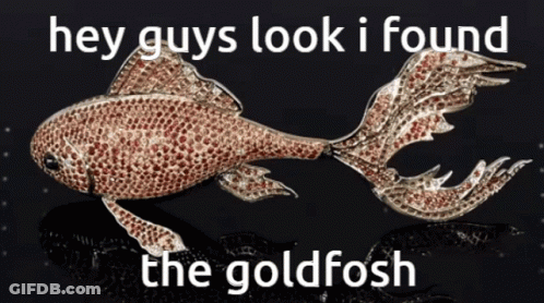 A Picture Of A Goldfish With The Words Hey Guys Look I Found The Goldfish GIF