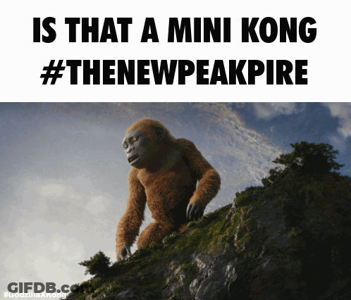 A Picture Of A Gorilla On A Hill With The Caption " Is That A Mini Kong " GIF