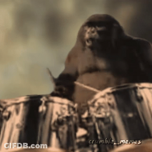 A Picture Of A Gorilla Playing Drums With The Words Crumble_memes Below It GIF
