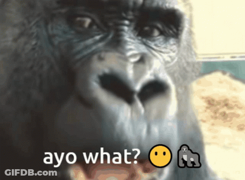 Gorilla With Ayo What Caption GIF