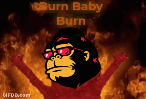 A Picture Of A Gorilla With The Words Burn Baby Burn GIF