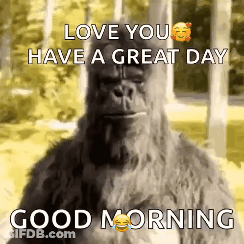 A Picture Of A Gorilla With The Words Love You Have A Great Day Good Morning GIF