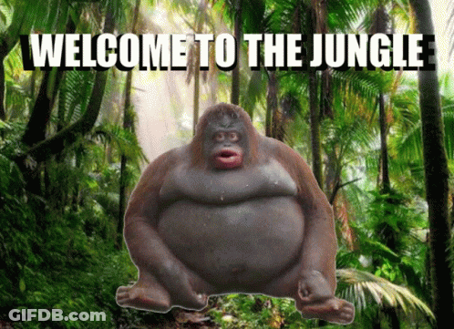 A Picture Of A Gorilla With The Words Welcome To The Jungle Written Above It GIF