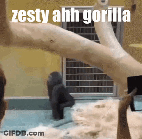 A Picture Of A Gorilla With The Words Zesty Ahh Gorilla On It GIF