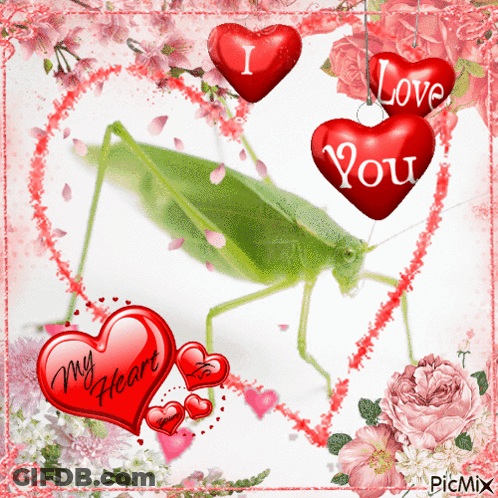 A Picture Of A Grasshopper Surrounded By Hearts That Say " I Love You " GIF