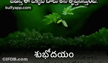A Picture Of A Green Plant With A Quote In Telugu On It . GIF
