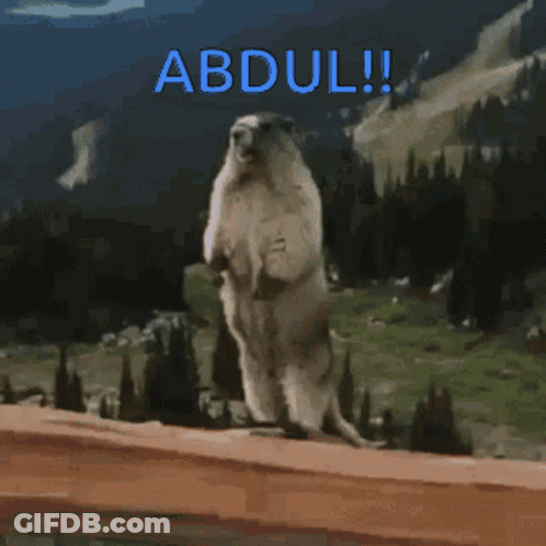 A Picture Of A Ground Squirrel Standing On Its Hind Legs With The Name Abdul Written Above It GIF