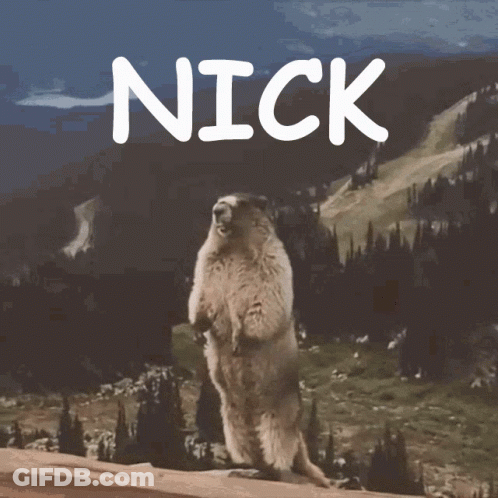 A Picture Of A Ground Squirrel With The Name Nick Written On It GIF
