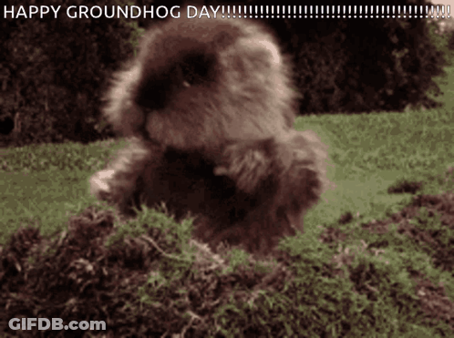 A Picture Of A Groundhog With The Words Happy Groundhog Day Below It GIF