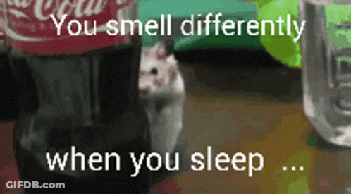 A Picture Of A Hamster Next To A Coca Cola Bottle That Says You Smell Differently When You Sleep GIF