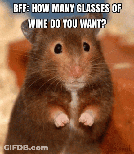 A Picture Of A Hamster With A Caption That Says Bff How Many Glasses Of Wine Do You Want GIF