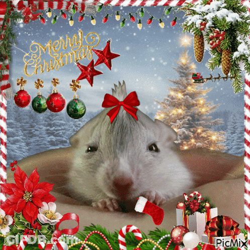 A Picture Of A Hamster With A Merry Christmas Greeting GIF